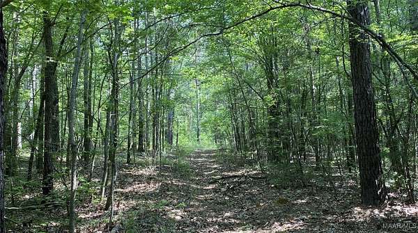 56.5 Acres of Land for Sale in Wetumpka, Alabama