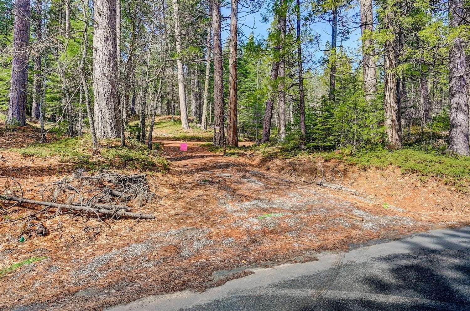 12.4 Acres of Recreational Land for Sale in Avery, California