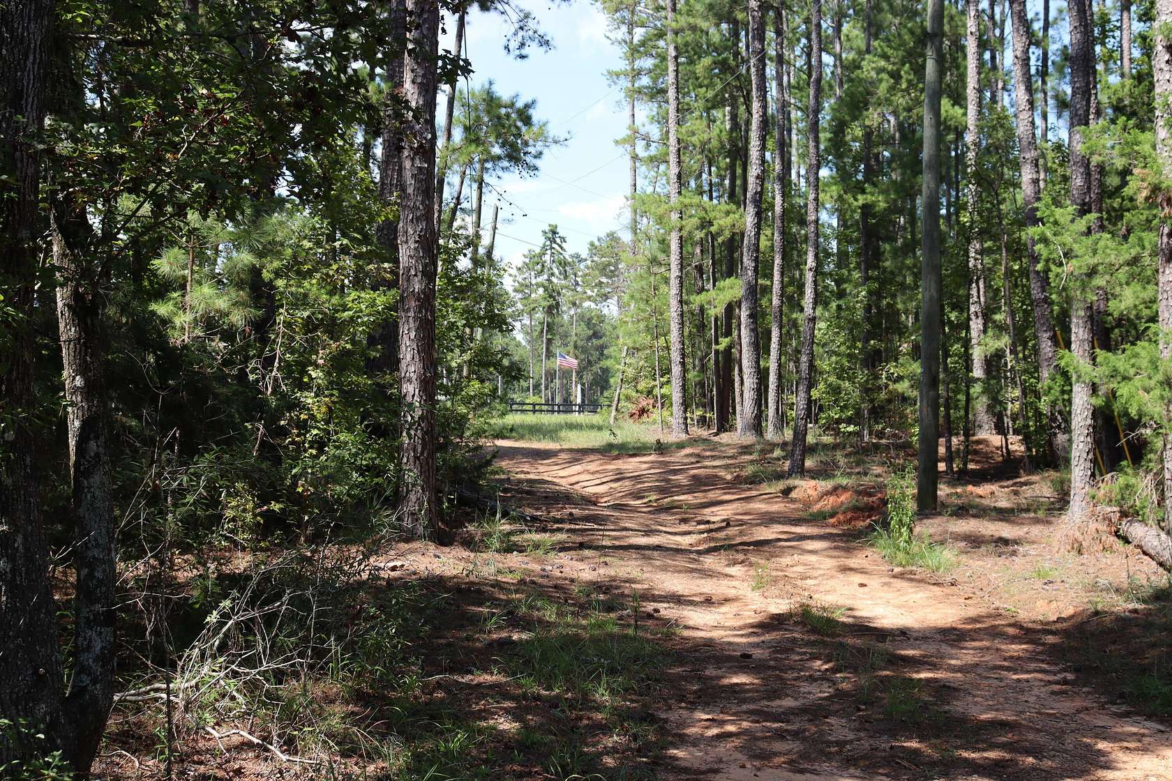6.9 Acres of Residential Land with Home for Sale in Appling, Georgia