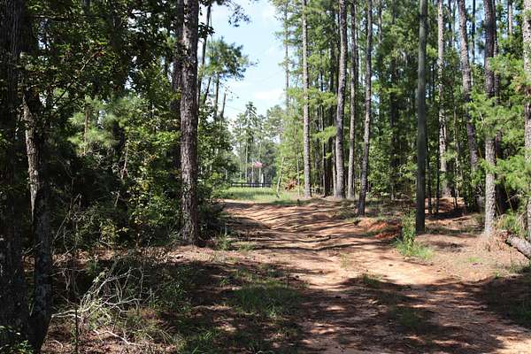 6.9 Acres of Residential Land with Home for Sale in Appling, Georgia