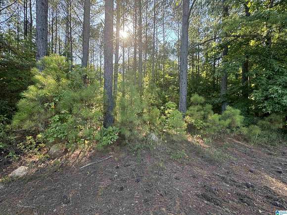 2.25 Acres of Land for Sale in Selma, Alabama