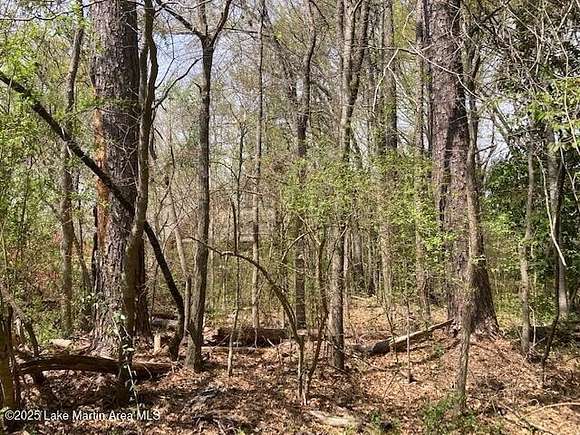 5.52 Acres of Residential Land for Sale in Alexander City, Alabama
