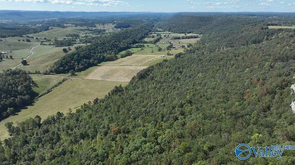 9.84 Acres of Residential Land for Sale in Collinsville, Alabama