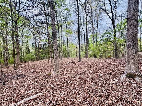 2.2 Acres of Residential Land for Sale in Abbeville, South Carolina