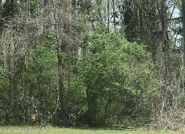 3 Acres of Residential Land for Sale in Alexander City, Alabama