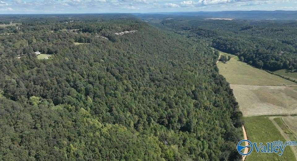 15.6 Acres of Land for Sale in Collinsville, Alabama
