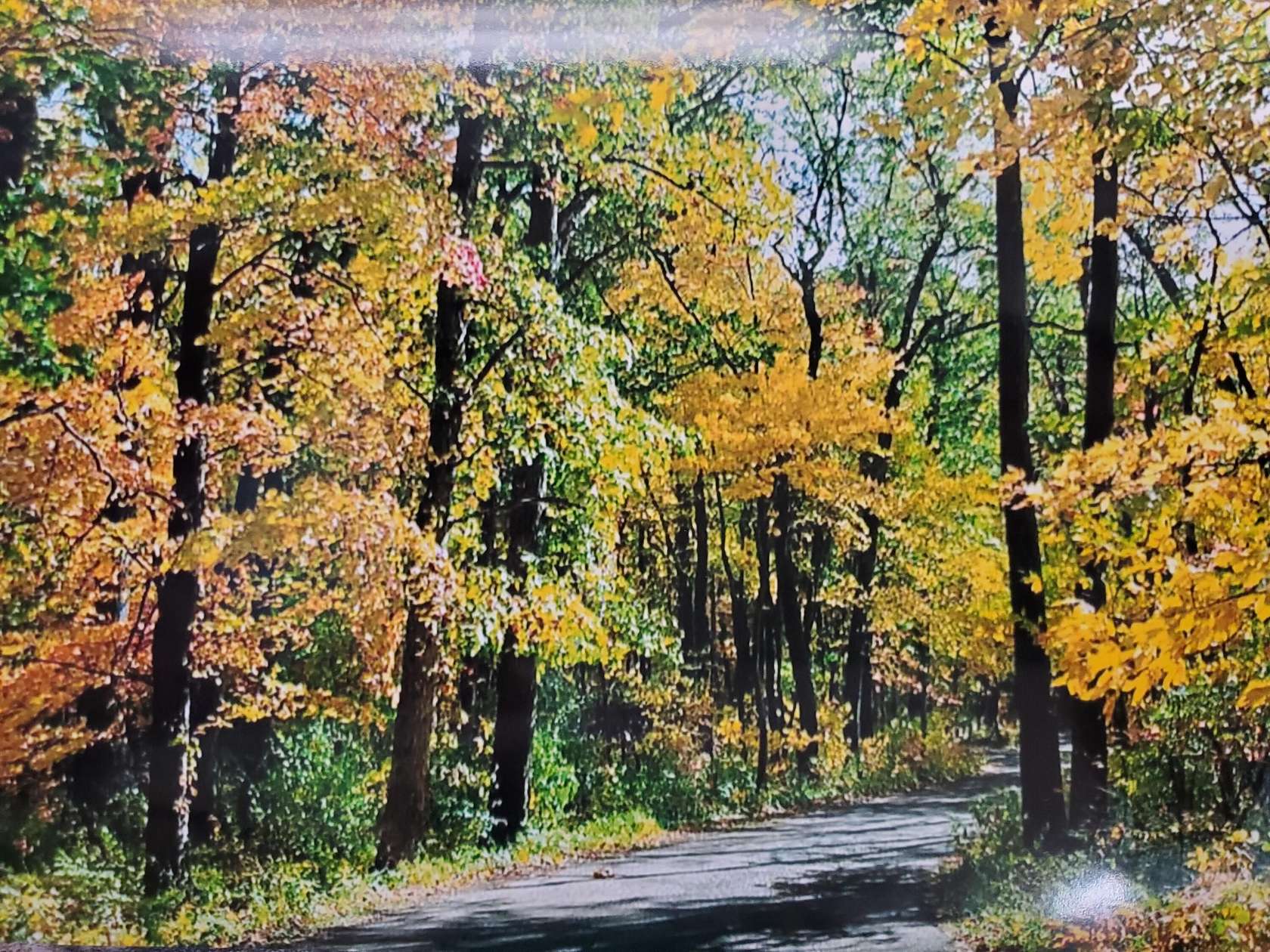 3 Acres of Residential Land for Sale in Delton, Michigan