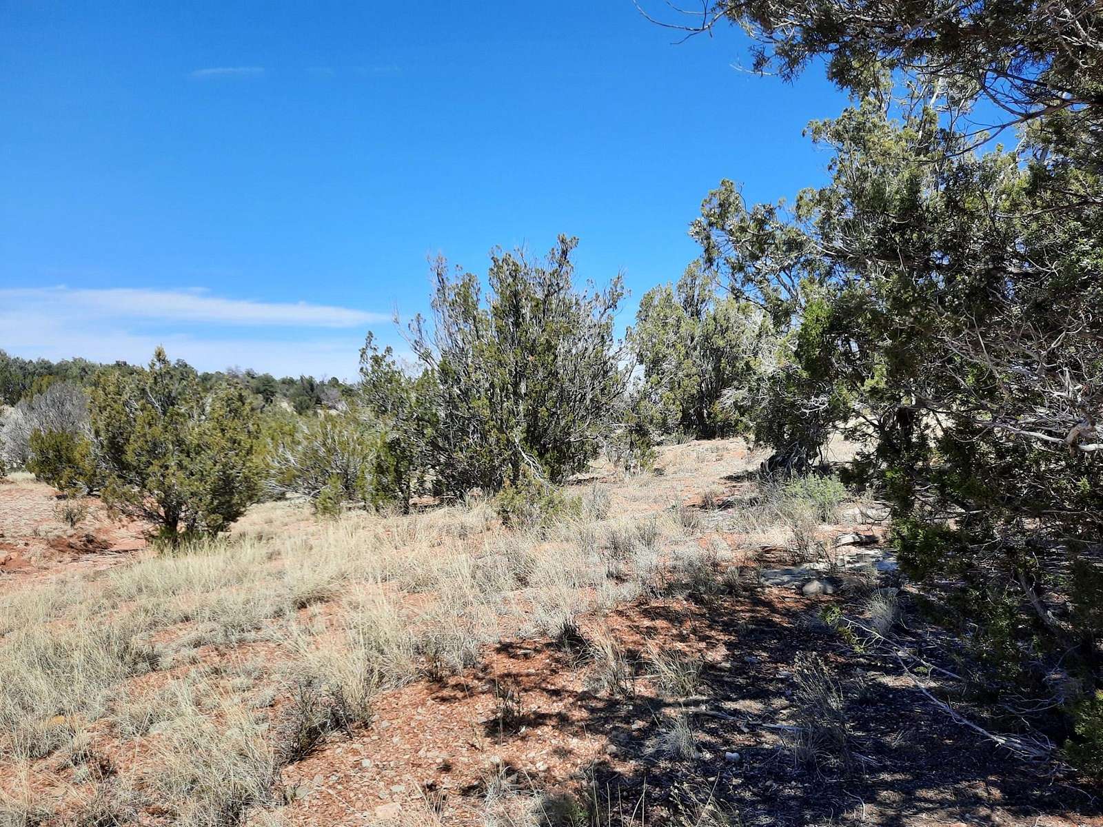 2.6 Acres of Land for Sale in Seligman, Arizona