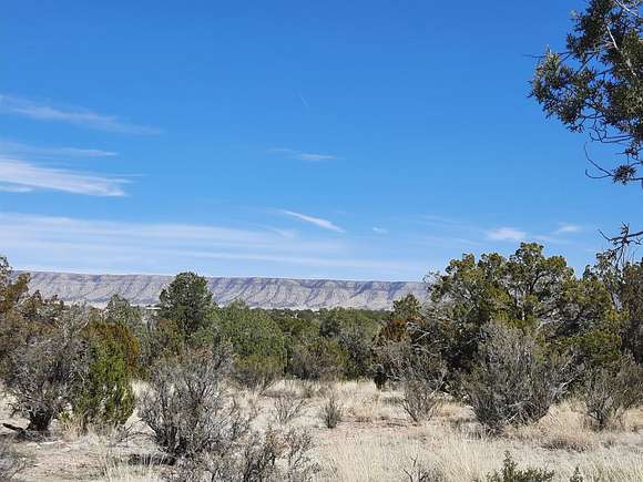 1.57 Acres of Land for Sale in Seligman, Arizona