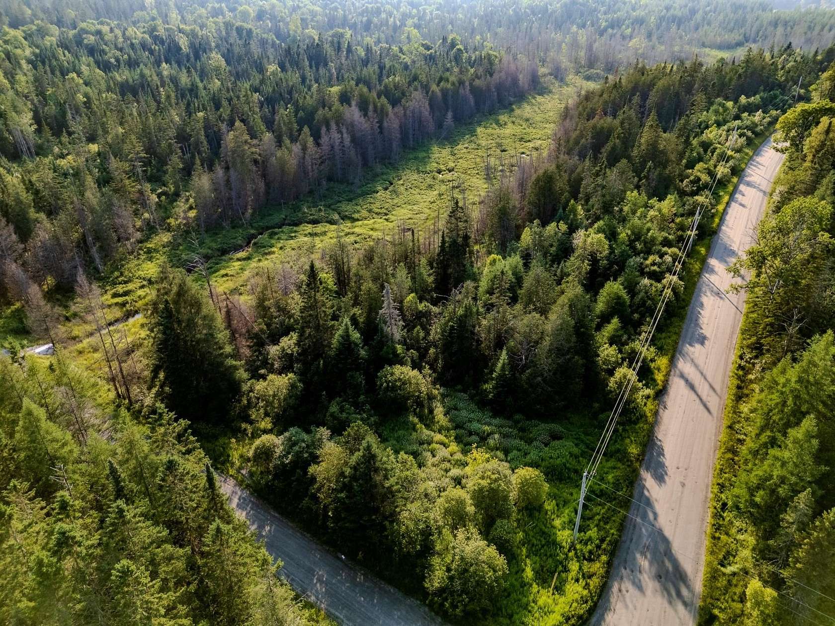 55.8 Acres of Recreational Land for Sale in Walden, Vermont