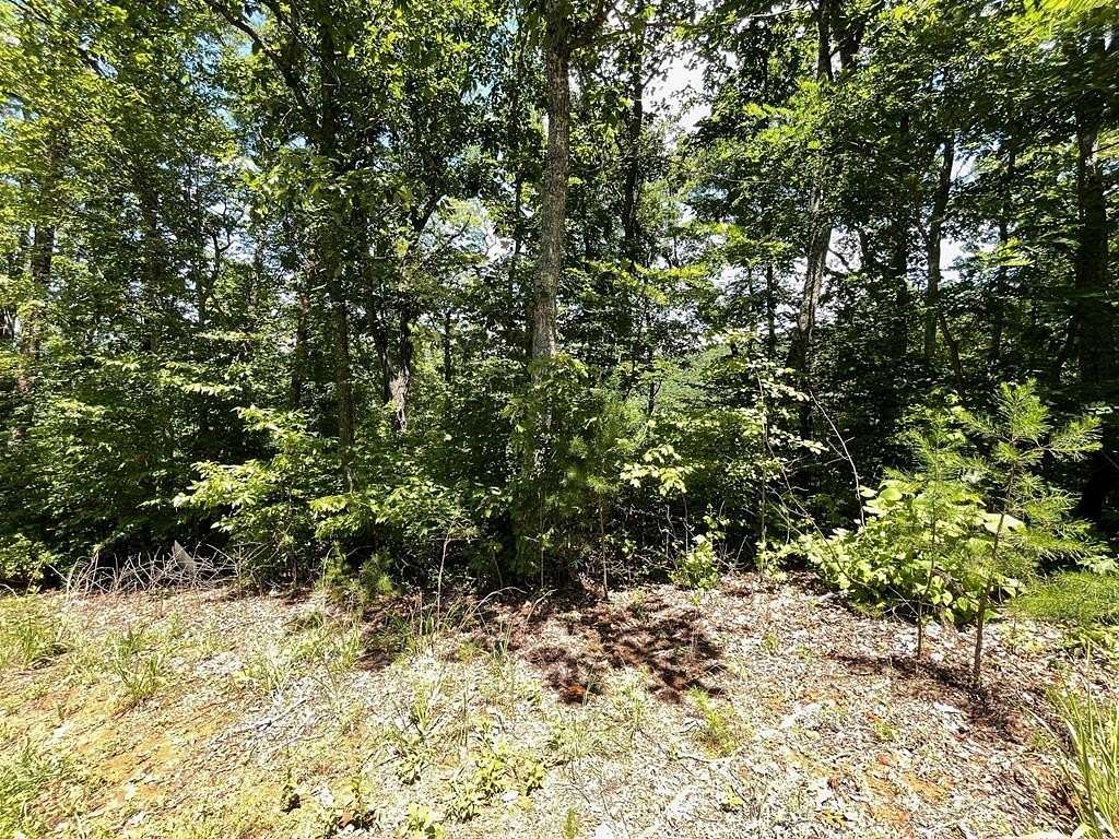 1 Acre of Land for Sale in Hiawassee, Georgia