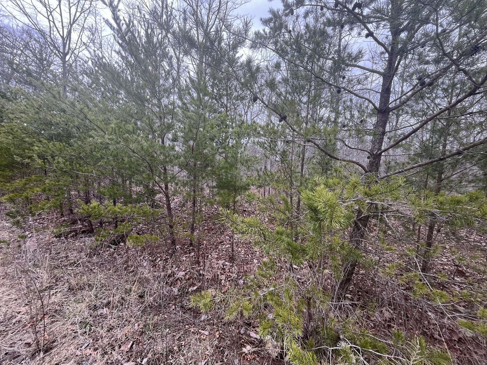 3.37 Acres of Residential Land for Sale in Pikeville, Tennessee