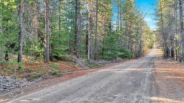 4.7 Acres of Residential Land for Sale in Newport, Washington