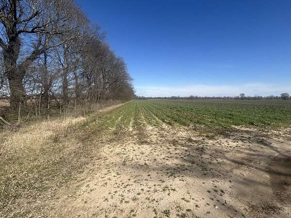 56 Acres of Agricultural Land for Sale in Hornersville, Missouri