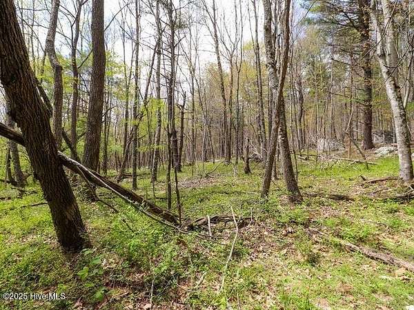 1 Acre of Residential Land for Sale in Ahoskie, North Carolina