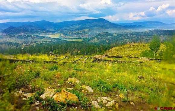 9.48 Acres of Residential Land for Sale in South Fork, Colorado