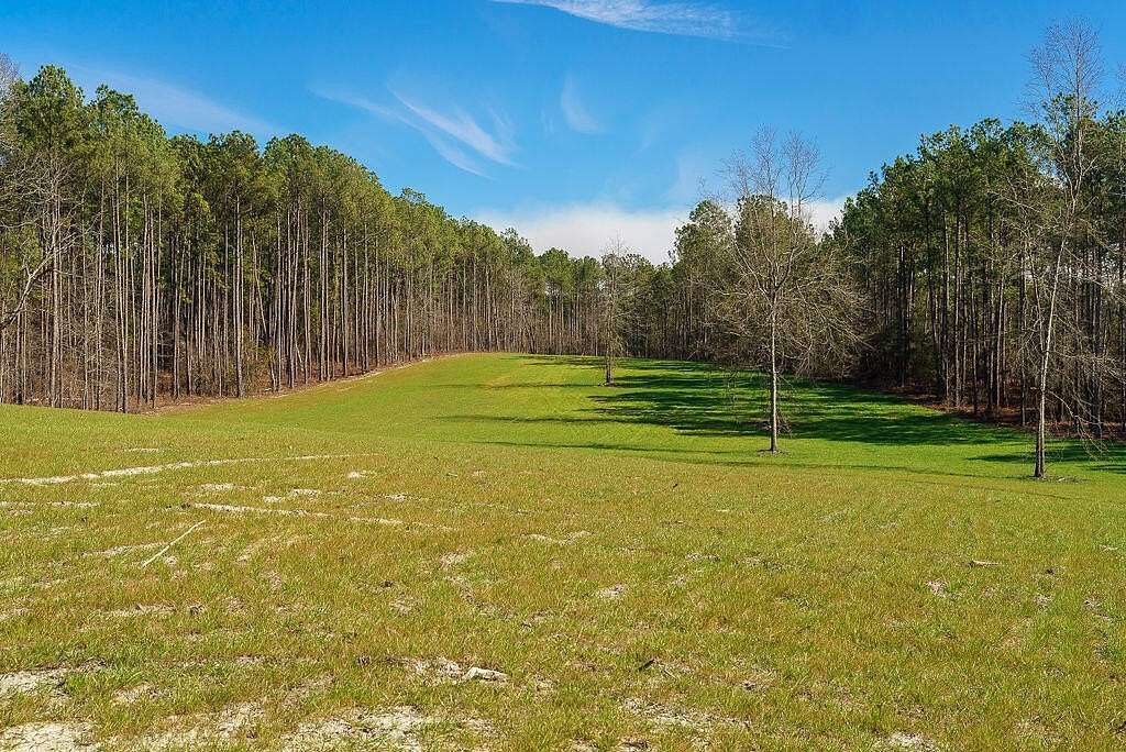 10.6 Acres of Agricultural Land for Sale in Aiken, South Carolina