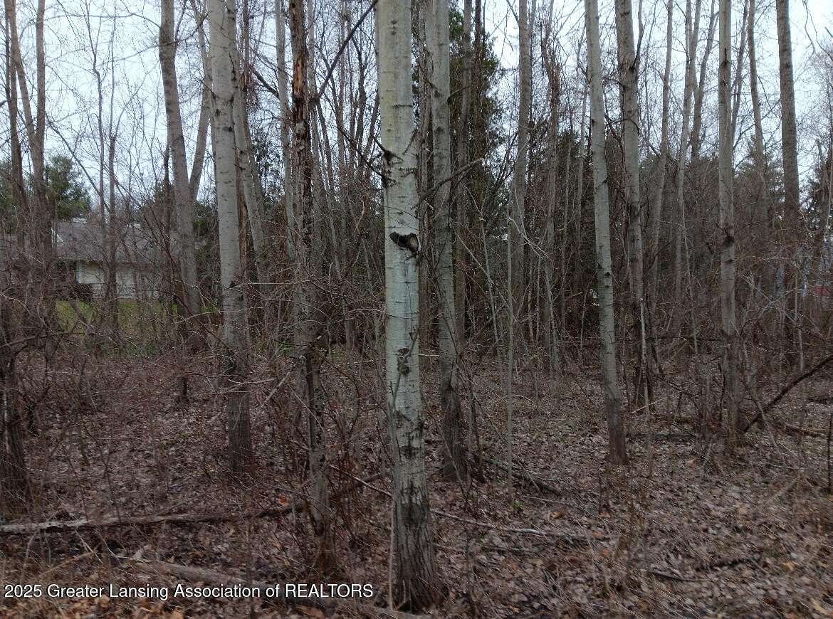 Land for Sale in Owosso, Michigan