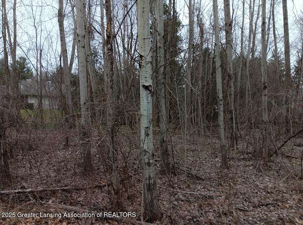 Land for Sale in Owosso, Michigan