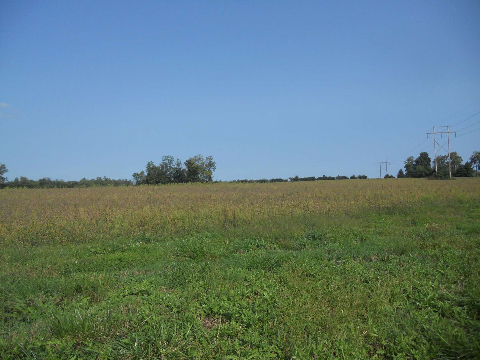 12.1 Acres of Land for Sale in Paris, Kentucky