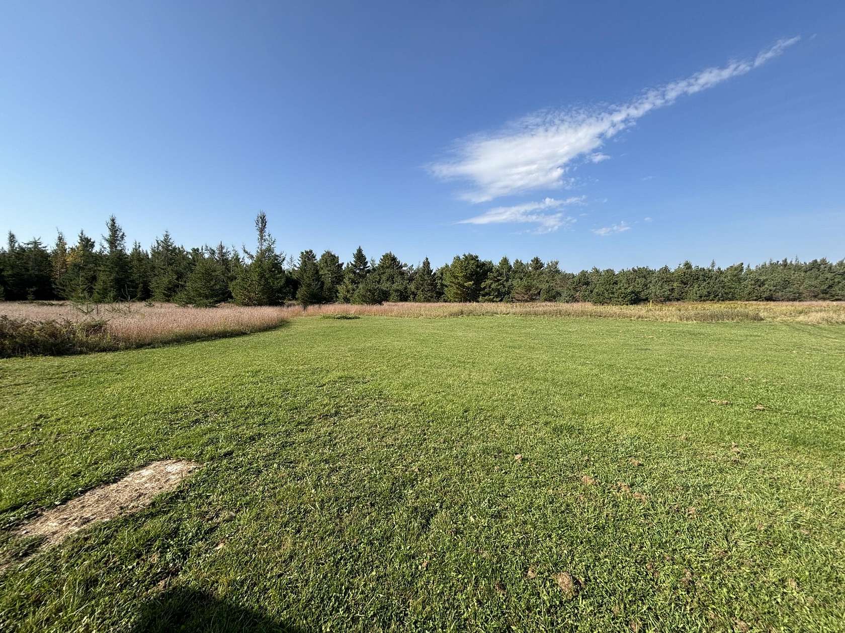 290 Acres of Recreational Land for Sale in Alpena, Michigan