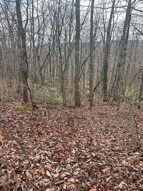 5 Acres of Residential Land for Sale in Crawford, Tennessee