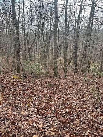 5 Acres of Residential Land for Sale in Crawford, Tennessee