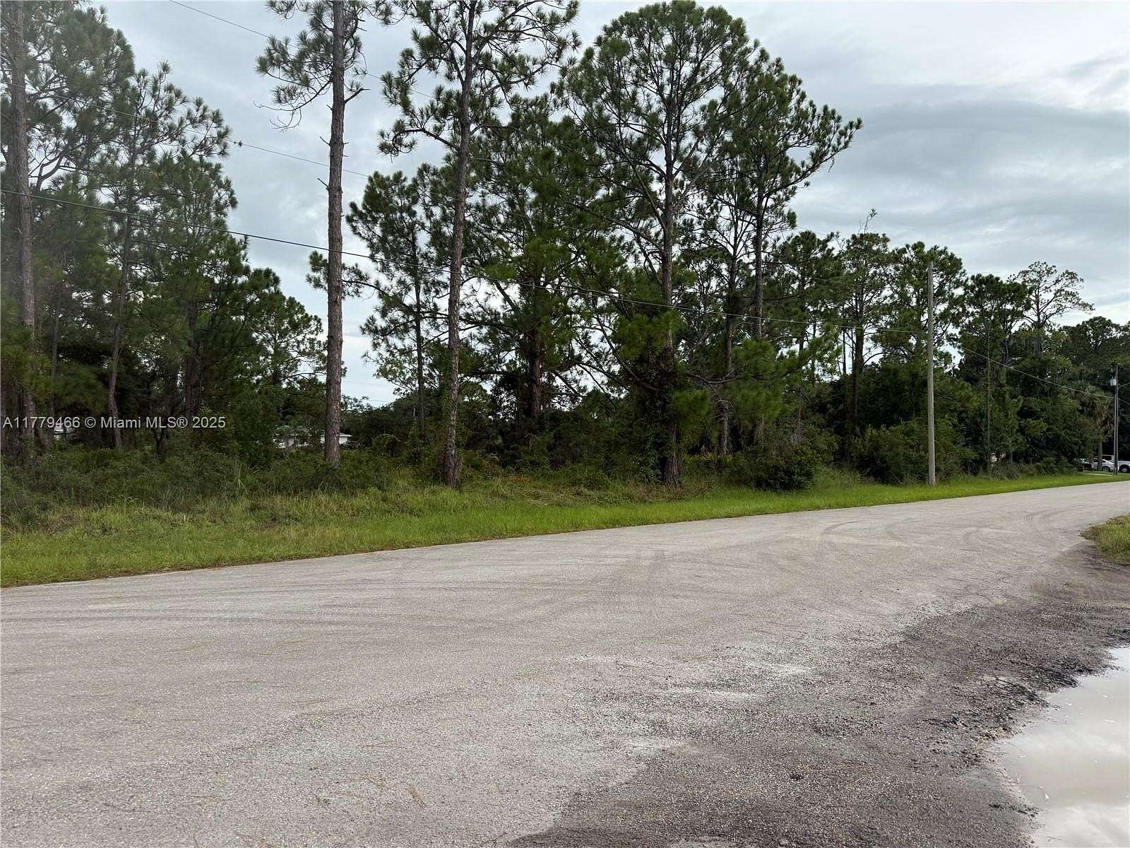 0.22 Acres of Residential Land for Sale in Lake Placid, Florida