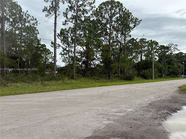 0.22 Acres of Residential Land for Sale in Lake Placid, Florida
