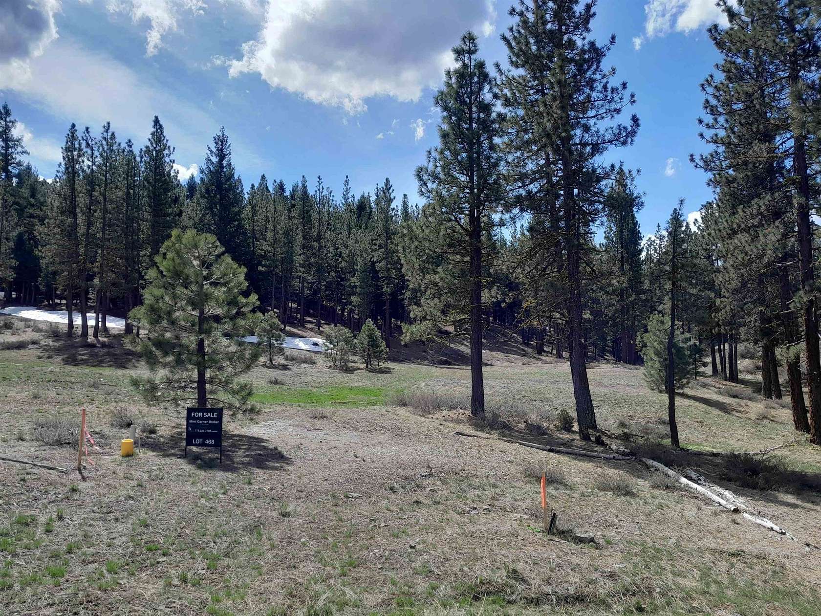 5.53 Acres of Residential Land for Sale in Portola, California