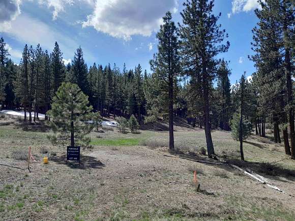 5.53 Acres of Residential Land for Sale in Portola, California
