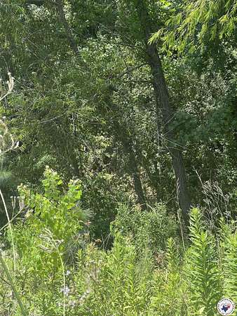 1.32 Acres of Land for Sale in Wake Village, Texas