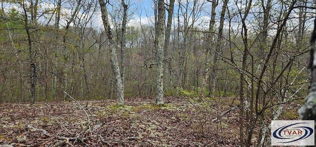 0.55 Acres of Residential Land for Sale in Holladay, Tennessee