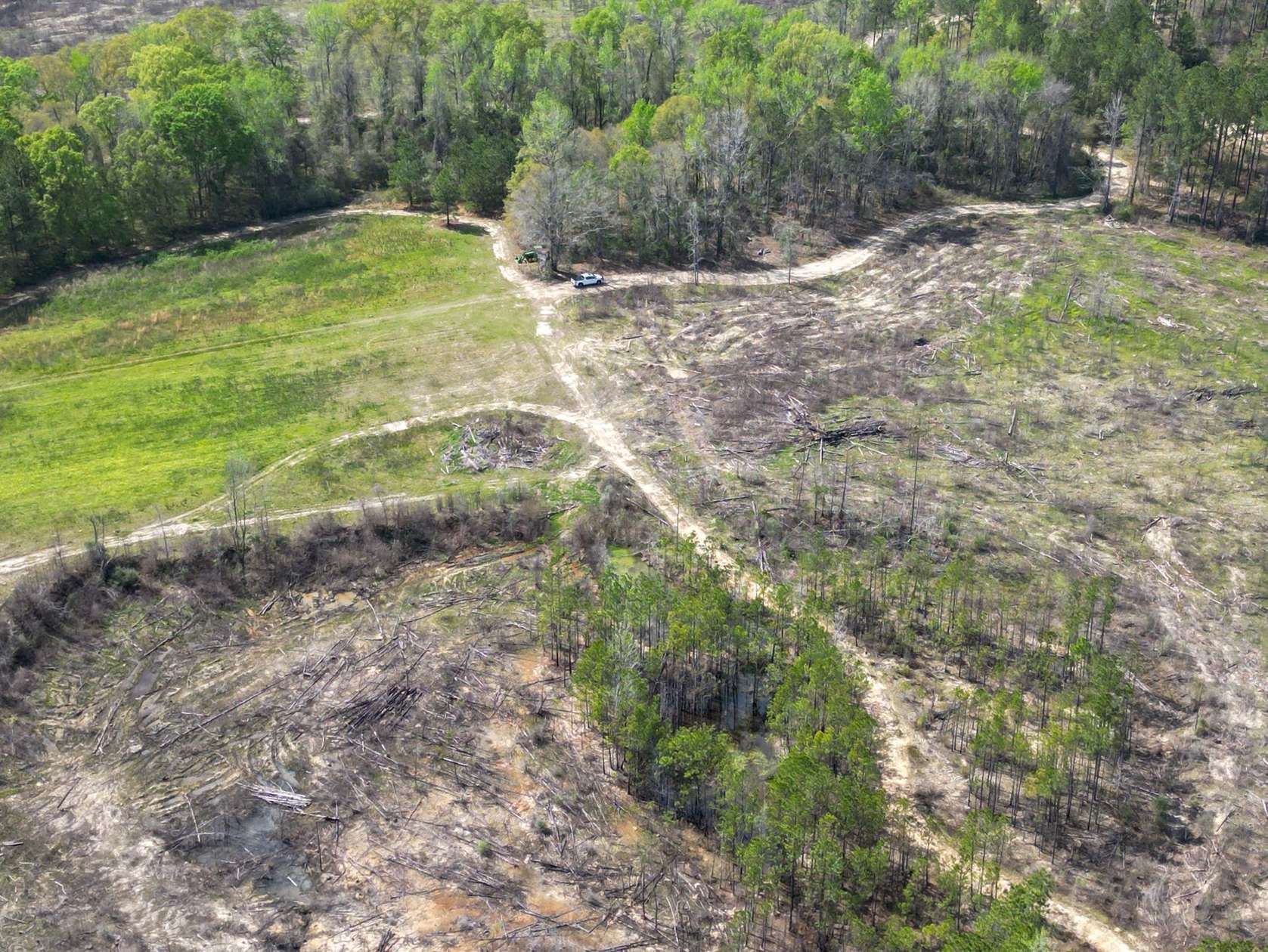 110 Acres of Recreational Land for Sale in Tuskegee, Alabama