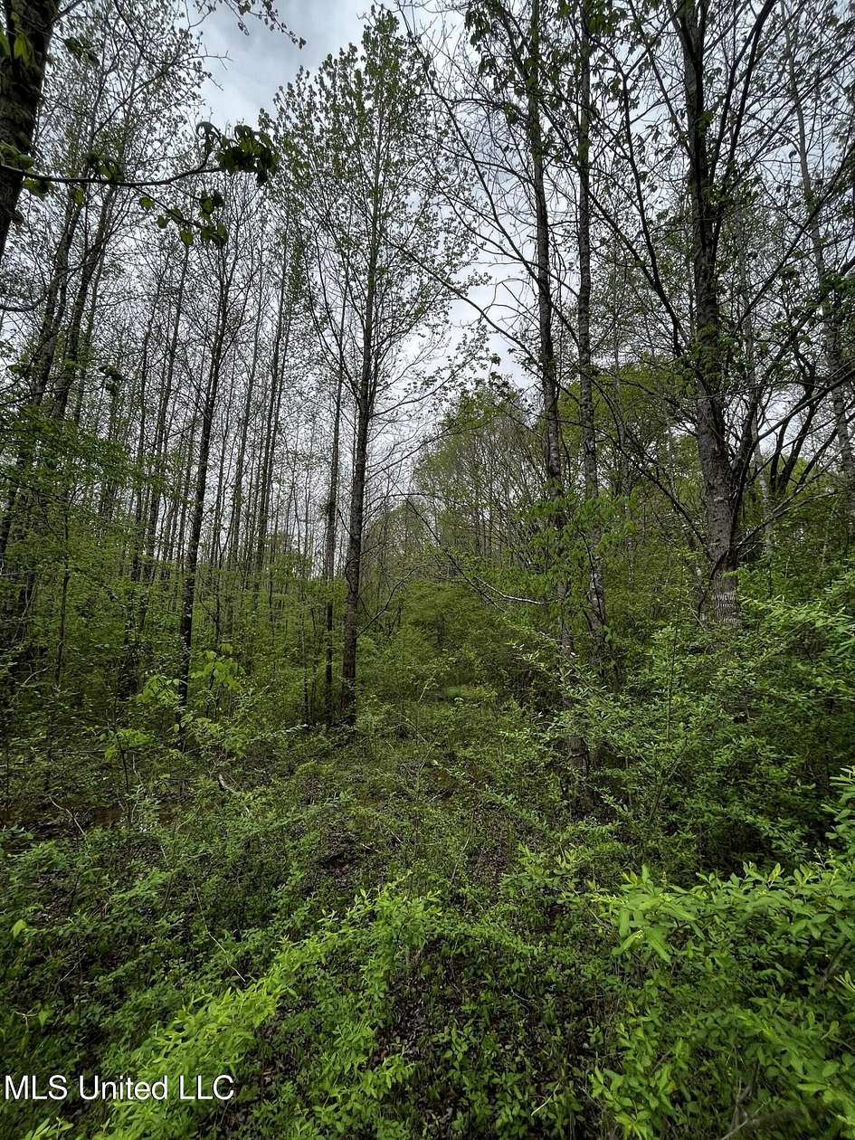 9.2 Acres of Residential Land for Sale in Grenada, Mississippi