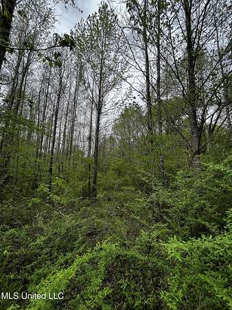 9.2 Acres of Residential Land for Sale in Grenada, Mississippi