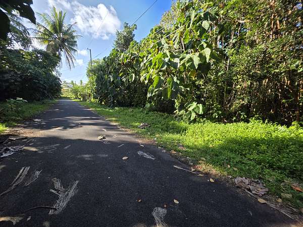 0.21 Acres of Land for Sale in Pahoa, Hawaii