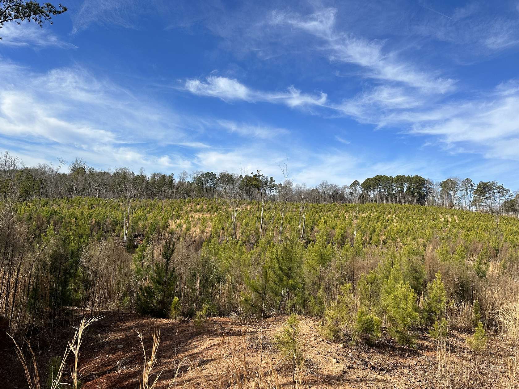 64 Acres of Recreational Land for Sale in Pacolet, South Carolina