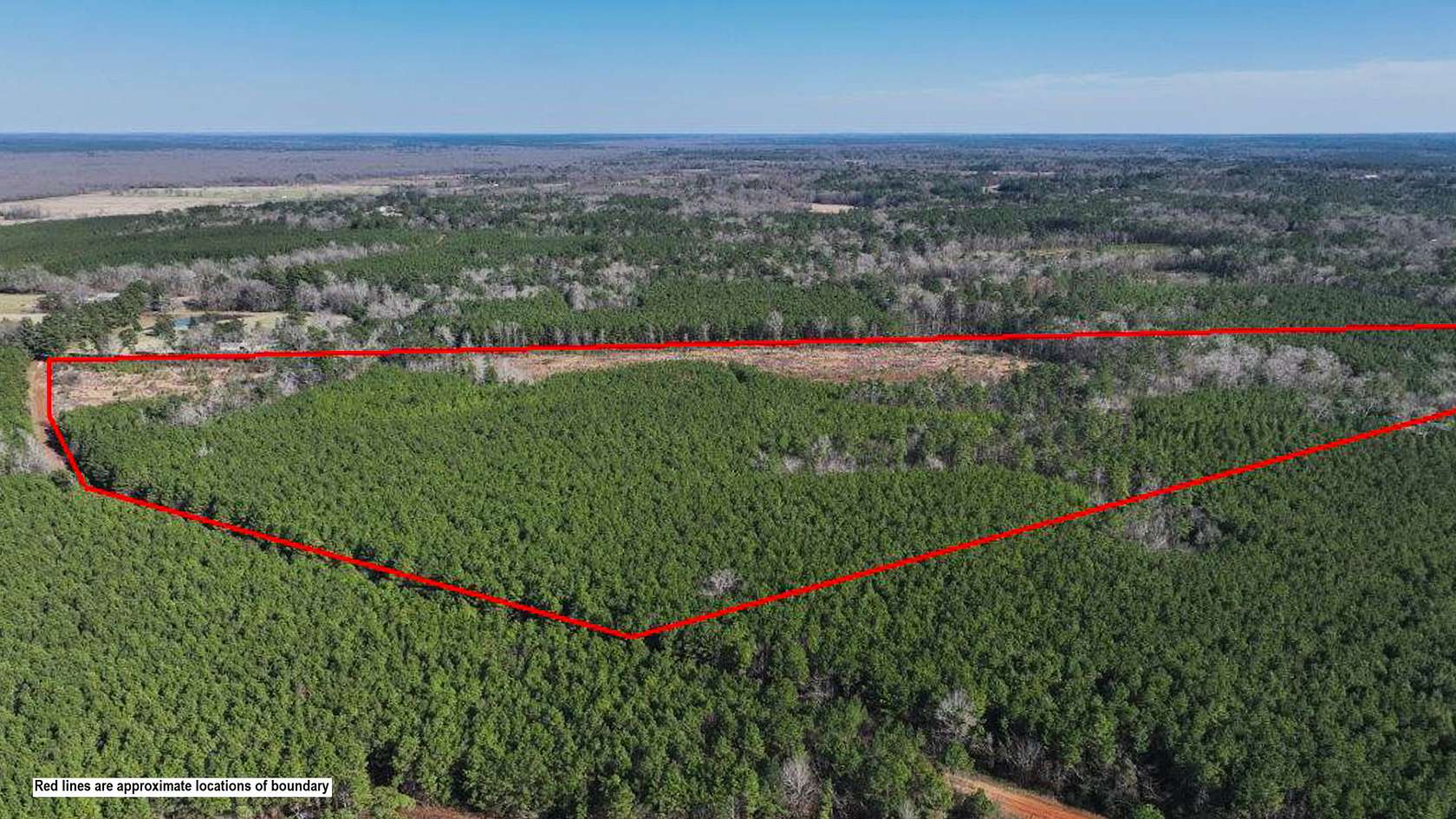 51 Acres of Recreational Land for Sale in Pollok, Texas