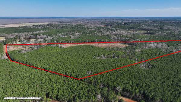 51 Acres of Recreational Land for Sale in Pollok, Texas