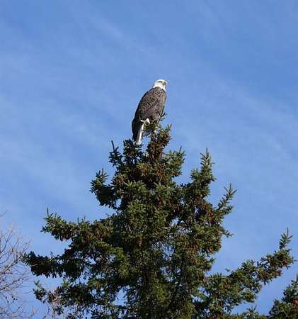 167 Acres of Recreational Land for Sale in Linneus, Maine