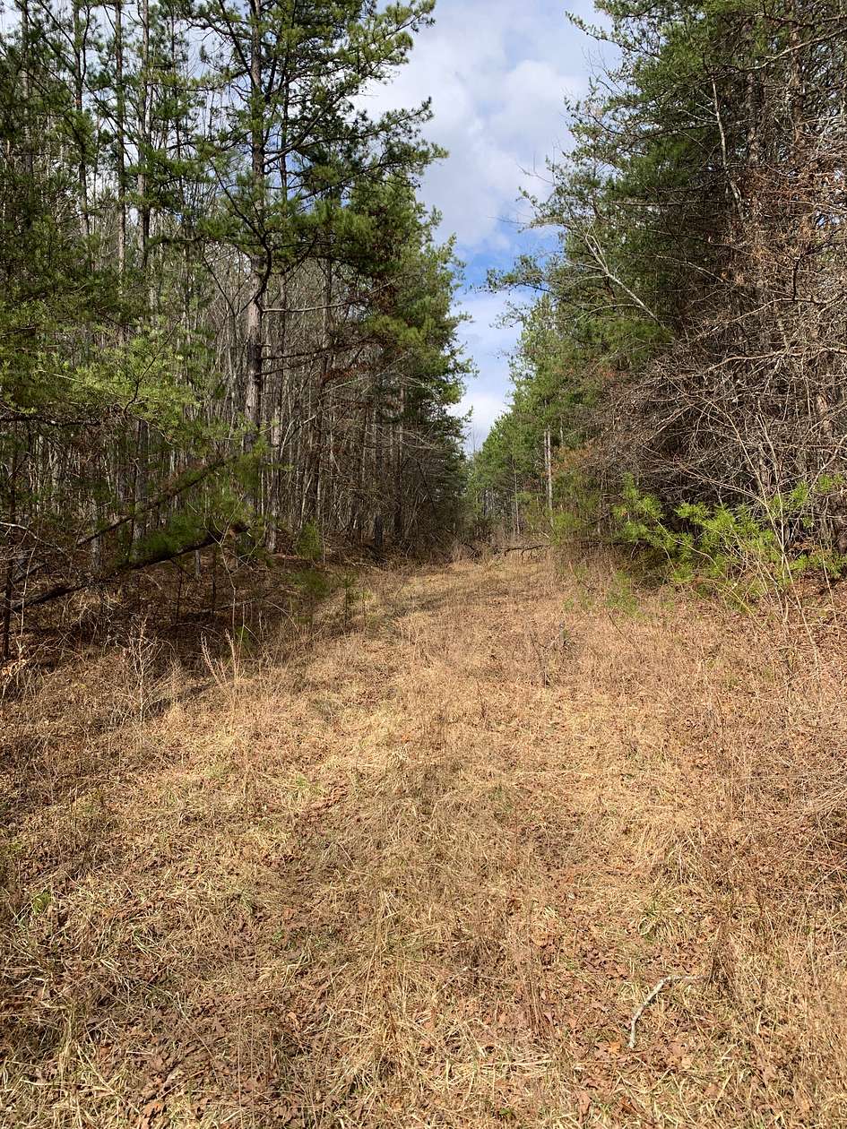 154 Acres of Recreational & Residential Land for Sale in Sunbright, Tennessee