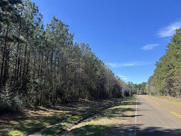 34 Acres of Recreational Land for Sale in Hemphill, Texas