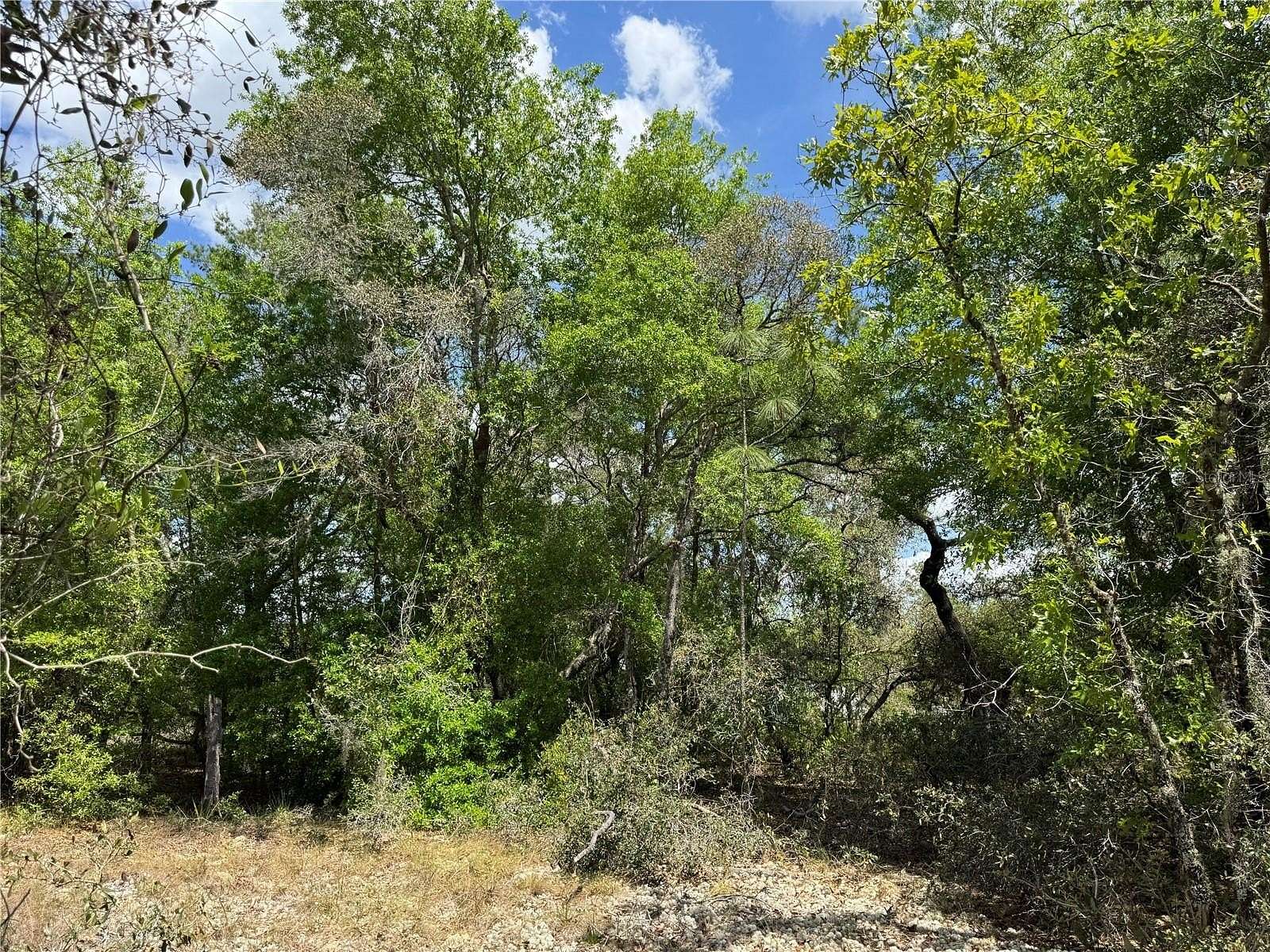 0.24 Acres of Residential Land for Sale in Dunnellon, Florida