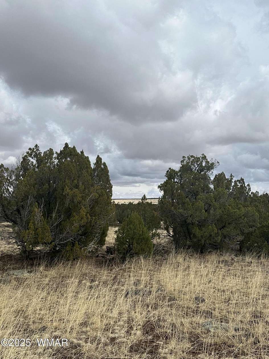 10 Acres of Residential Land for Sale in Show Low, Arizona
