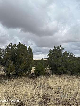 10 Acres of Residential Land for Sale in Show Low, Arizona