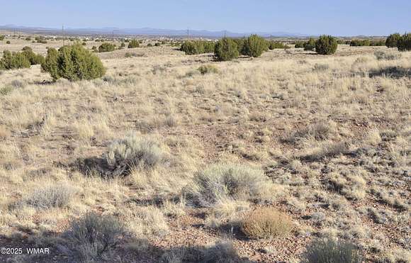 8 Acres of Residential Land for Sale in Taylor, Arizona