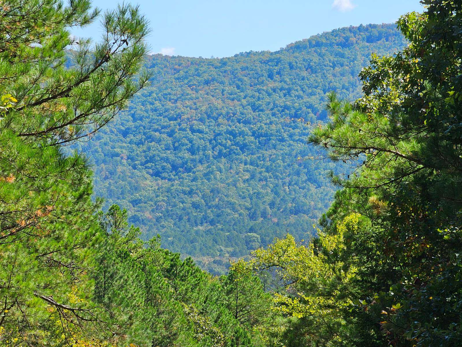 159 Acres of Recreational Land for Sale in Red Oak, Oklahoma