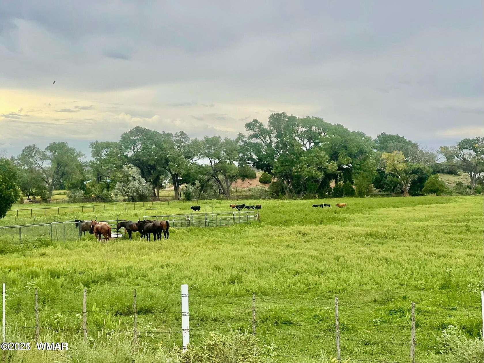 16.5 Acres of Land for Sale in Taylor, Arizona