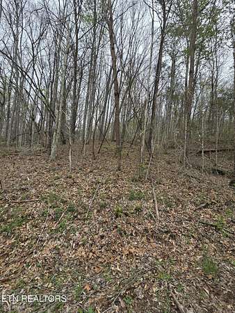 0.31 Acres of Land for Sale in La Follette, Tennessee